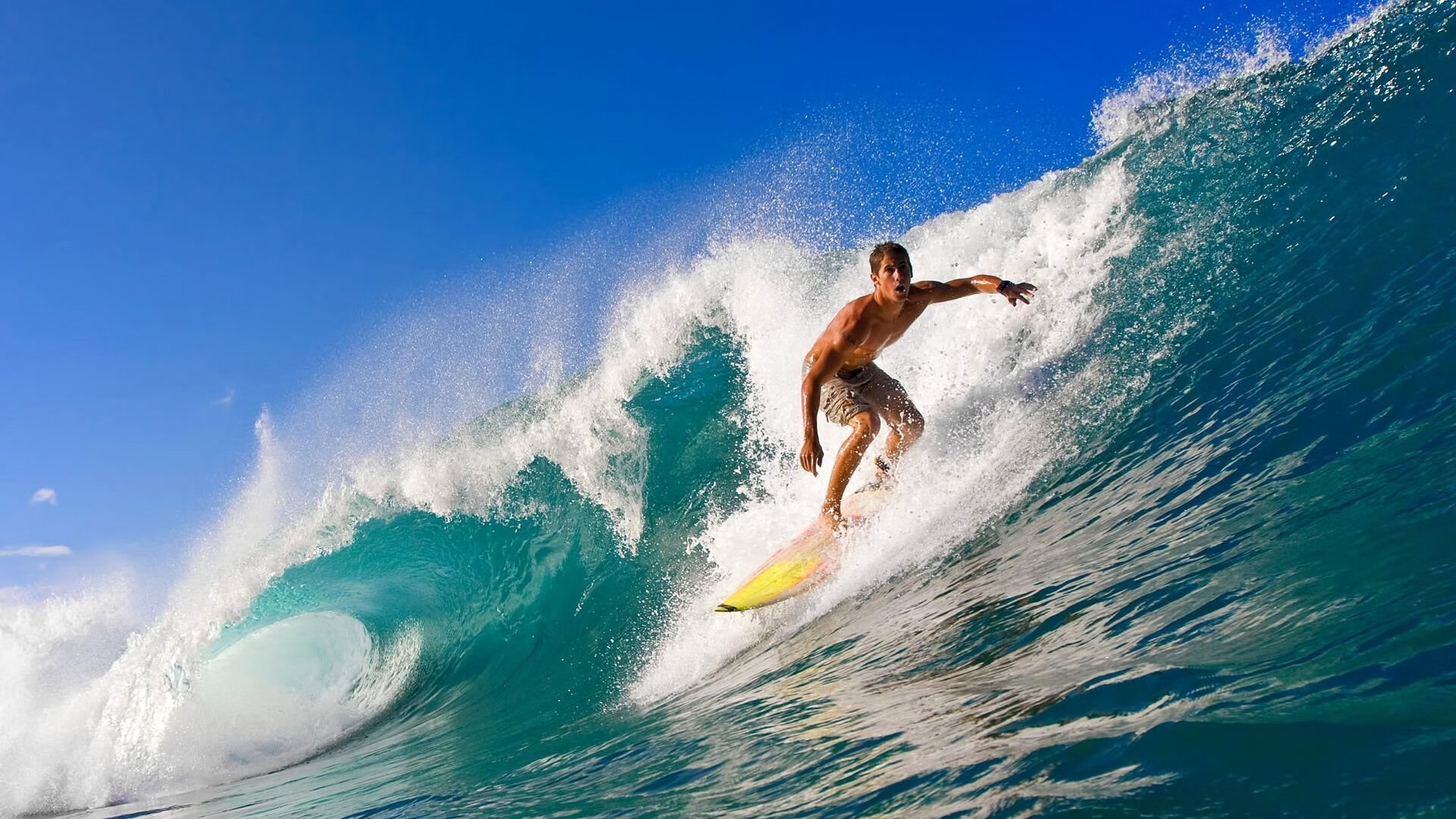 九游体育入口-《高校纷纷开设电竞专业，培养产业链多样化人才》，高校开设电竞专业弊端