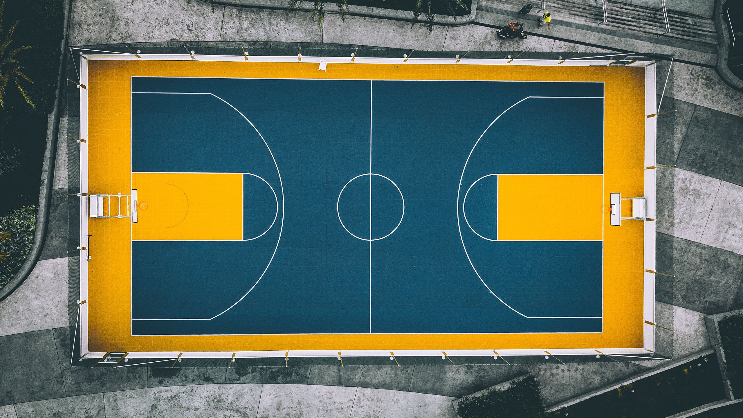 九游网页官网-加拿大新秀在美联赛崭露头角，成为焦点，加拿大五大联赛球员